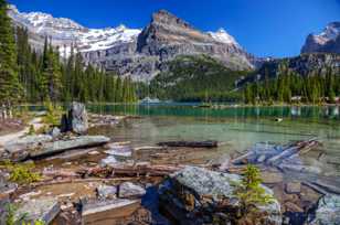 Lake O'Hara-4406 Lake O'Hara-4406